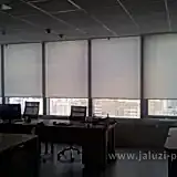 0000241231_eZfRfxs3